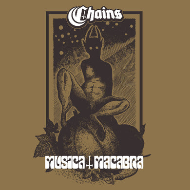 Album cover with a dark figure and text on a brown background