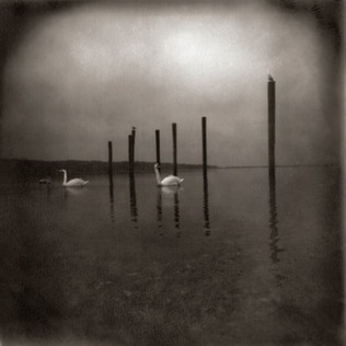 Om - Conference Of The Birds (Vinyl/Record)