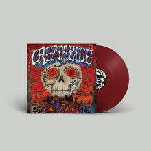 Cargar imagen en el visor de la galería, Vinyl record with a colorful cover featuring a skull design on a gray background