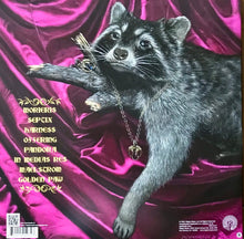 Load image into Gallery viewer, Raccoon with jewelry on a pink fabric background on back album cover for the band Crystal Spiders