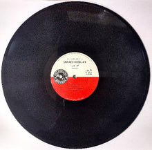 Cargar imagen en el visor de la galería, A black vinyl record with a red and white center label, photographed from above on a plain white background. The label reads Skraeckedlan and Earth.