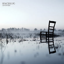 Cargar imagen en el visor de la galería, Wooden chair reflected in water with 'Spaceslug Leftovers' text at the top.