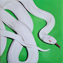 Load image into Gallery viewer, White snake on a green background