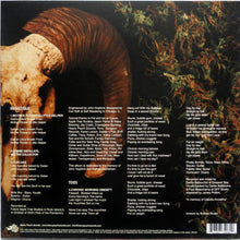 Load image into Gallery viewer, Album back cover with text and abstract design