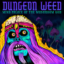 Charger l'image dans la galerie, CD cover art featuring a cartoonish character with a crown and face paint, with a background of mushrooms and a dark, moody landscape.