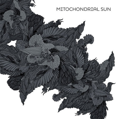 Mitochondrial Sun - Self Titled front album cover