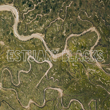 Load image into Gallery viewer, Estuary Blacks - Estuary Blacks front album cover