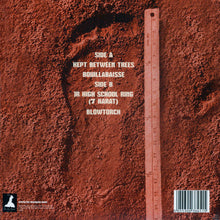 Charger l'image dans la galerie, Album cover with textured brown surface and text on a vertical ruler