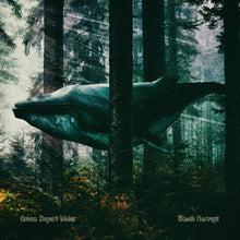 Charger l'image dans la galerie, Whale embedded in a forest with a foggy atmosphere, featuring the text 'Green Desert Water' and 'Black Harvey'.