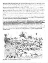 Cargar imagen en el visor de la galería, Text document with band history and album cover of Greytlock Mansions.