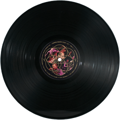 Hippie Death Cult - 111 black vinyl record with a colorful label on a white background