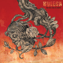 Load image into Gallery viewer, Kylesa - Time Will Fuse Its Worth (Vinyl/Record)