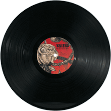 Load image into Gallery viewer, Kylesa - Time Will Fuse Its Worth (Vinyl/Record)