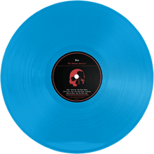 Load image into Gallery viewer, Bus - The Unknown Secretary (Vinyl/Record)