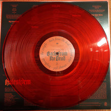 Load image into Gallery viewer, Red vinyl record with a label on a black background