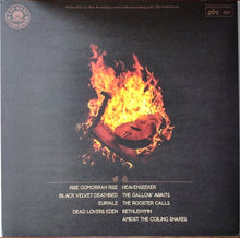 Load image into Gallery viewer, Soothsayer Orchestra - Soothsayer Orchestra (Vinyl/Record)