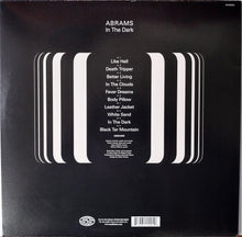 Load image into Gallery viewer, Abrams - In The Dark (Vinyl/Record)