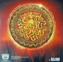 Load image into Gallery viewer, Damaged:  Sasquatch - II (Vinyl/Record)