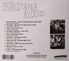 Load image into Gallery viewer, Brown Acid - The Ninth Trip (CD)