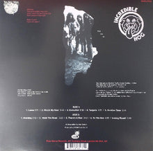 Load image into Gallery viewer, Incredible Hog - Volume 1 back vinyl record cover artwork.