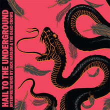 Charger l'image dans la galerie, Album cover with black snake design on a pink background