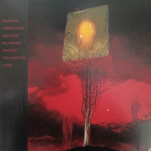 Cargar imagen en el visor de la galería, King Buffalo - The Burdon Of Restlessness back album cover with a tree and square object against a dark background