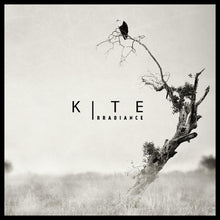 Cargar imagen en el visor de la galería, Album cover with a tree and bird, featuring the text 'KITE Radiance'.