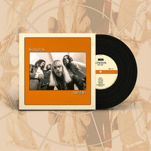 Charger l'image dans la galerie, Vinyl record with cover featuring a band on an abstract background