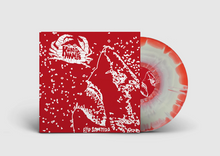 Cargar imagen en el visor de la galería, Record cover with a red background featuring a white illustration of a shark and the band's name 'Kungens Man'.