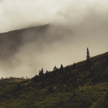 Charger l'image dans la galerie, Hazy mountain landscape with trees on a hillside
