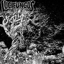 Cargar imagen en el visor de la galería, Black and white illustration of a tree with roots and foliage, featuring the text 'Lucifungus'.