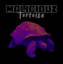 Load image into Gallery viewer, Tortoise with a gradient color effect on a black background, featuring the text &#39;MALICIOUZ Tortoise&#39;.