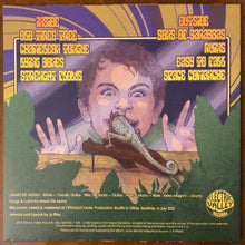 Cargar imagen en el visor de la galería, Album cover with a stylized illustration of a child and lizard, featuring text and Electric Valley Records logo.