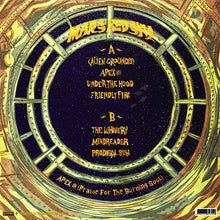Load image into Gallery viewer, Mars Red Sky - Apex III Praise For The Burning Soul back vinyl record cover artwork.