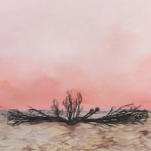 Charger l'image dans la galerie, Mountain Dust - Seven Storms front album cover.