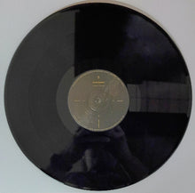 Cargar imagen en el visor de la galería, Mythic Sunship - Light/Flux black vinyl record.