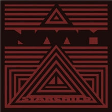 Charger l'image dans la galerie, Naam - The Ballad Of The Starchild front vinyl record cover artwork.