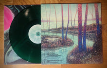 Cargar imagen en el visor de la galería, Vinyl record with a colorful cover featuring a landscape scene on a wooden surface