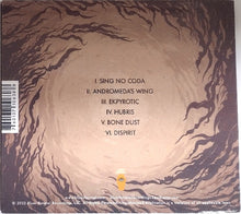 Load image into Gallery viewer, Album cover with text and abstract design