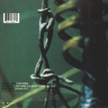 Load image into Gallery viewer, Album cover with metal chain and green background