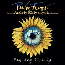 Cargar imagen en el visor de la galería, CD cover art for Pink Floyd featuring a digital illustration of a sunflower with a human eye in the center, with the title 'Hey Hey Rise Up' displayed.