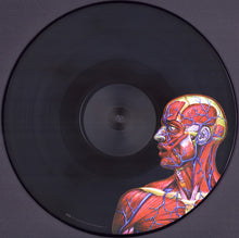 Load image into Gallery viewer, Tool - Lateralus Picture Disc (Vinyl/Record)