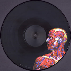 Tool - Lateralus Picture Disc (Vinyl/Record)