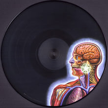 Load image into Gallery viewer, Tool - Lateralus Picture Disc (Vinyl/Record)