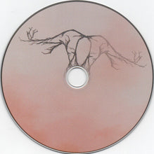 Load image into Gallery viewer, Mountain Dust - Seven Storms (CD)