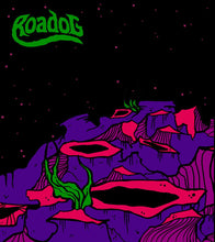 Load image into Gallery viewer, Orbiter / Roadog - Anthropocene / Reinventing The Wheels (Vinyl/Record)