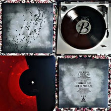 Load image into Gallery viewer, Brume / Witch Ripper - Split (Vinyl/Record)