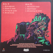 Load image into Gallery viewer, Damaged:  Ruff Majik - Tarn (Vinyl/Record)