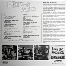 Load image into Gallery viewer, Brown Acid - The Sixth Trip (Vinyl/Record)