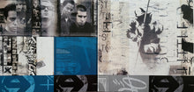 Load image into Gallery viewer, Linkin Park - Hybrid Theory (Vinyl/Record)